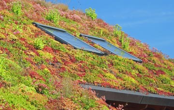 Heronsgate living roof systems